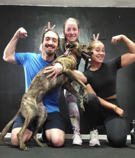 zagatraining 2